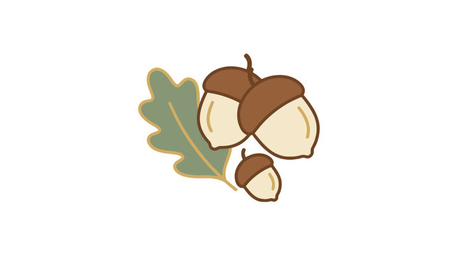 Thanksgiving Autumn acorn vector illustration, oak leaf and nut cluster, hand drawn fall botanical elements for seasonal design isolated on White Background Editable Eps