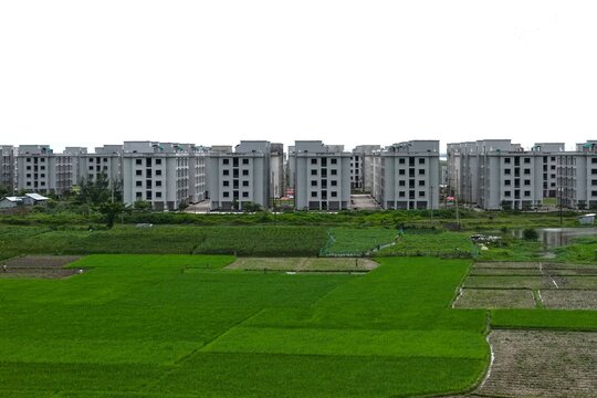 Aerial view of a large modern residential complex with uniform gray buildings situated next to lush green agricultural fields and rice paddies in Cox's Bazar, Chittagong Division, Bangladesh.