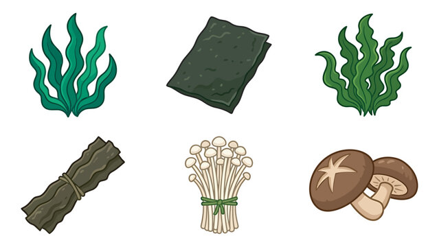 Variety of seaweeds kelp nori and mushrooms hand drawn vector set with mushroom shiitake ingredient nutrition graphics illustration collection isolated background