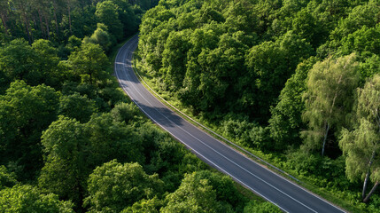 Fototapeta premium Forest Road Serenity: An aerial view reveals a winding asphalt road disappearing into a dense, verdant forest, inviting exploration and evoking a sense of peaceful journey.