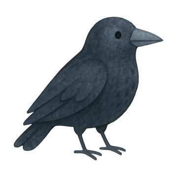 PNG Whimsical crow illustration for design.