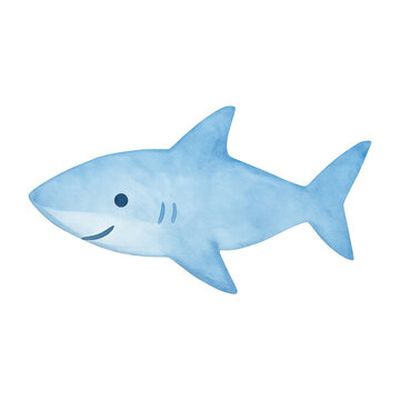 PNG Cute watercolor shark illustration