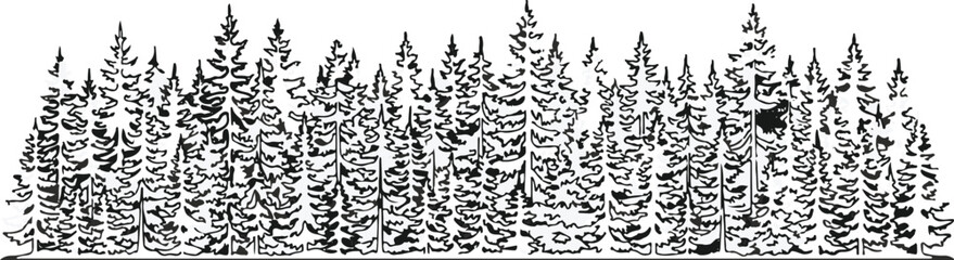Cad tree lines Vintage pine forest vector illustration, black and white woodcut style, hand-drawn spruce trees collection, isolated coniferous trees clip art for print and design vector © MDAbed