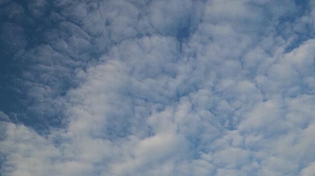 solid blanket of small fluffy cloudlets covering the entire sky area