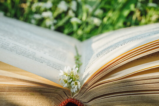 Open book with white flowers resting on its pages, symbolizing learning and relaxation outdoors