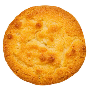 Cutout butter cookie or biscuit. Single Golden Baked Cookie on Transparent Background. 