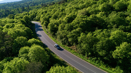Obraz premium Serene Forest Drive: An aerial view captures a car navigating a winding road through a lush, verdant forest, highlighting the beauty of nature and the freedom of the journey.