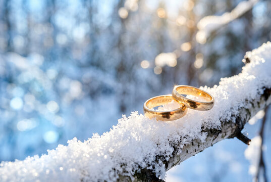 Two gold wedding rings on a snowy branch in a winter forest  