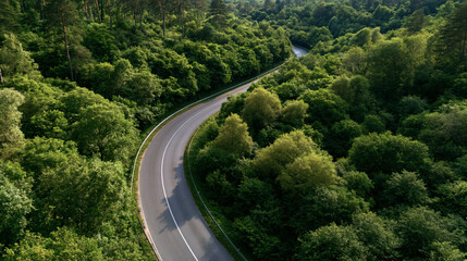 Fototapeta premium Winding Road Through Lush Forest: An aerial view of a scenic asphalt road curving through a dense, vibrant green forest, hinting at adventure and exploration.