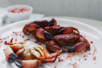 Cooked crabs with sea salt on a white plate, healthy protein source, sustainable seafood choice, balanced nutrition and clean eating lifestyle © svittlana