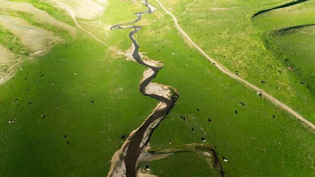 Aerial view of the winding river in the Kilemche valley with grazing livestock on lush green hills and dirt paths in Kyzart, Naryn Region, Kyrgyzstan.