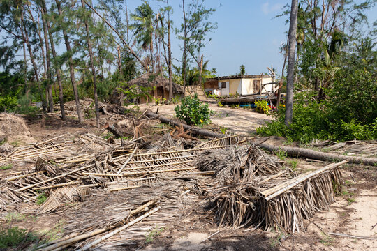 Cyclone Aftermath in Mozambique