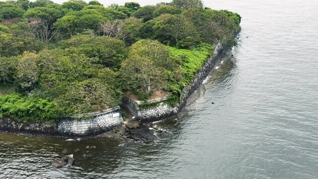Green Shoreline of Sixth Battery Island in Tokyo Bay