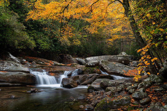 chestnut branch creek, great smoky mountains 