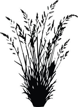 Cad tree lines Wild Grass Silhouette, Black Wheat Image, Field Plant Vector Set, Natural Meadow Illustration vactor