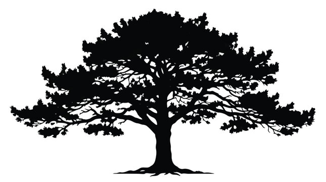 Cad tree lines Black pine tree silhouette icon set. Evergreen tree outline vector illustration. Forest nature scene elements. Botanical shape design for logo and print. vactor