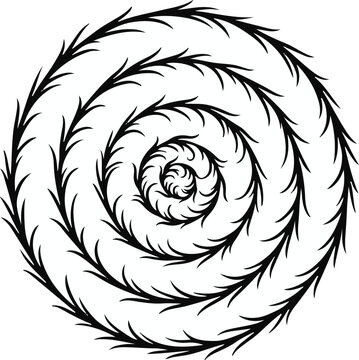 Cad tree lines Abstract black feather spiral design illustration. Curved plume swirl motif. Vector line art for tattoo flash, border, hair bun wrap. vactor