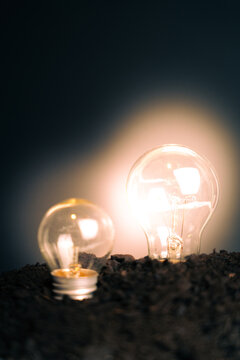 Two light bulbs growing from soil, one glowing brightly, depicting conceptual growth, idea generation, and progress