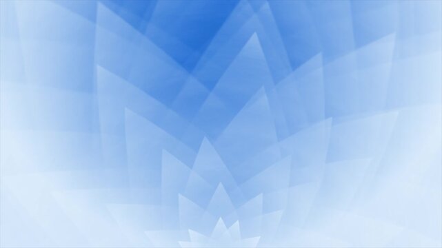 Animated royal blue color simple and elegant moving flower petals modern design loop able floral background