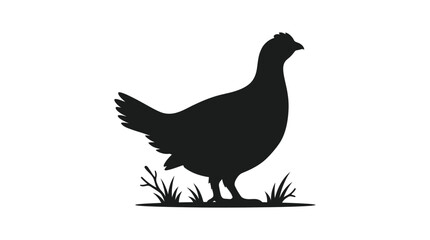 Fototapeta premium A hen stands amongst grass depicted as a black silhouette