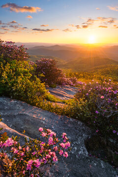 sunrise over summer foliage, linville gorge, north carolina