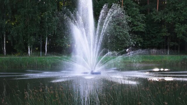 Water fountain spraying in a park pond