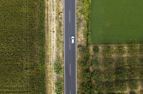 Aerial view of a single car driving on a straight asphalt road cutting through agricultural fields with rows of crops and fruit trees.