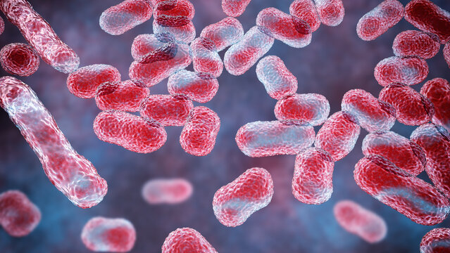 Acinetobacter baumannii bacterium, 3D illustration showing coccobacillary morphology with smooth outer membrane surface and subtle cellular texture