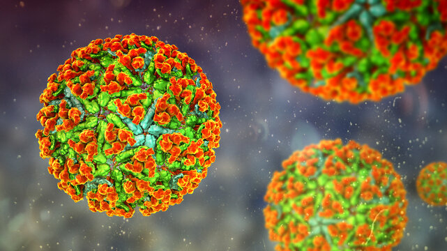 Chikungunya virus particles, 3D illustration showing enveloped spherical virions with surface protein lattice structure, drifting in fluid with subtle motion