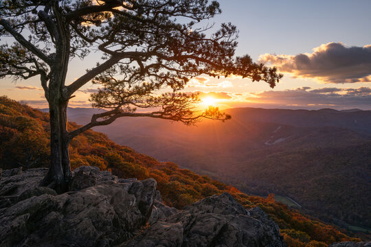 scenic autumn view, shenandoah virginia