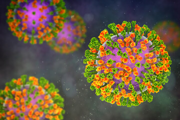 Obraz na płótnie Canvas Parainfluenza viruses, 3D illustration showing enveloped virions with surface glycoprotein spikes and helical nucleocapsid structure typical of Paramyxoviridae