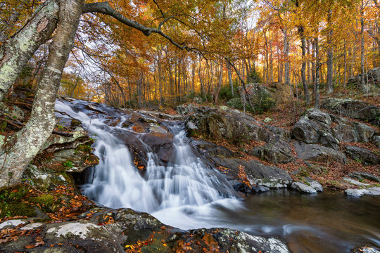 cascading water, fall foliage, shenandoah national park