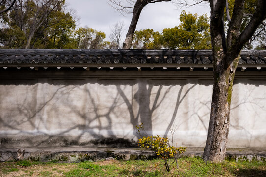 Tree shadows in Osaka, Japan.