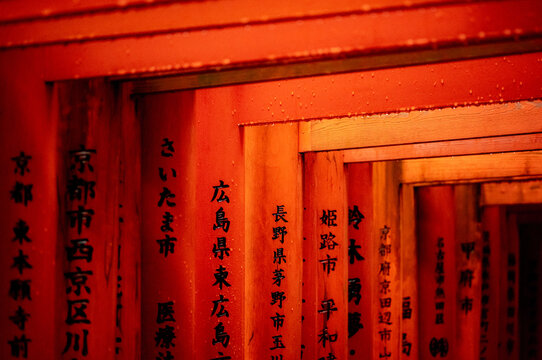 Red torii gates at the Fushimi Inari Shrine in Kyoto, Japan.