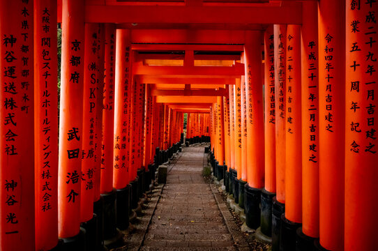 Red torii gates at the Fushimi Inari Shrine in Kyoto, Japan.
