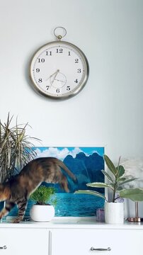 Naughty cat knocking over a picture frame early in the morning to wake up owners. Mischievous domestic pet misbehaving on a dresser under a wall clock, funny animal lifestyle concept.