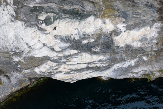 Aerial view of a cormorant on a steep, textured rocky cliff face rising above dark, deep water in Valldal, More og Romsdal, Norway.