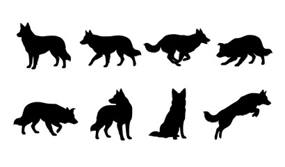 Obraz premium Border Collie Dog Silhouette Set with Herding Poses Black Vector Collection