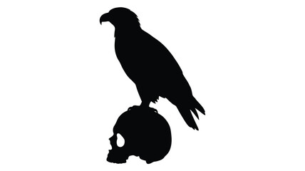 Fototapeta premium Eagle perched on a human skull black silhouette