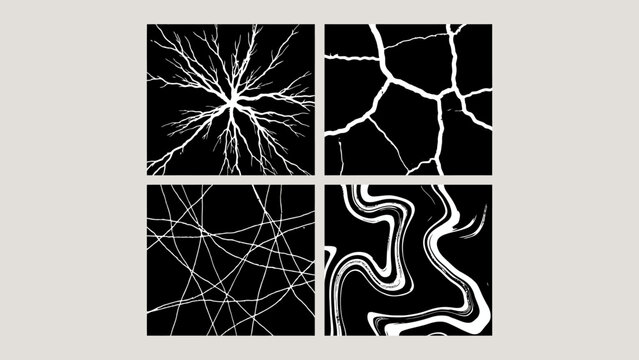 Abstract white line patterns are displayed in a four panel vector arrangement branching cracked fractured geometric grid interwoven lines