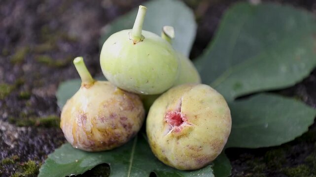 Top view of a still life of natural figs with fig leaves