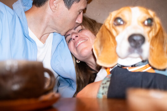 user generated content of a couple in love embracing and kissing with a dog