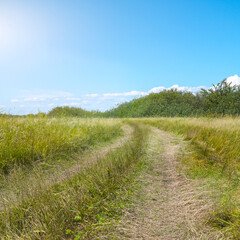 Obraz premium Dirt path through a grassy field under a blue sky