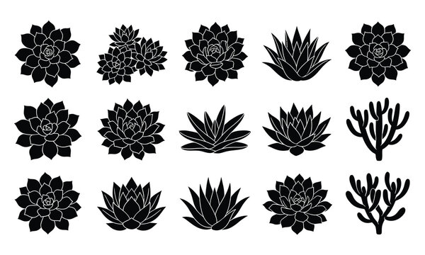 Black Succulent Silhouette Vector Set of Cactus Icons
