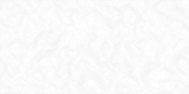 Professional topographic map background with light gray contour lines for modern clean graphic design and data visualization