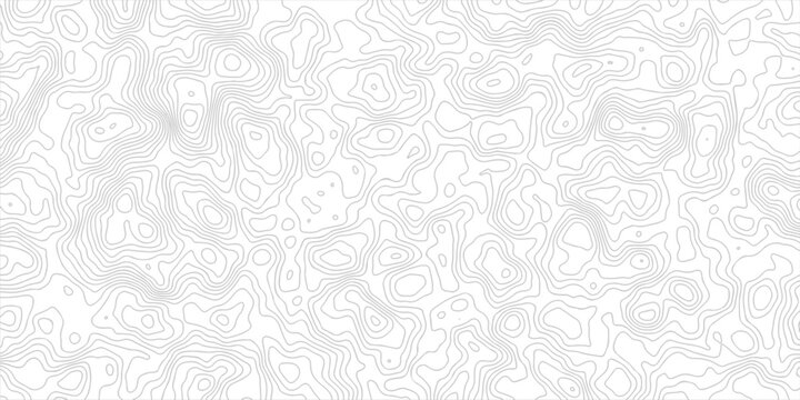 Abstract topographic map contour lines pattern background design featuring clean white vector lines on a minimalist light backdrop