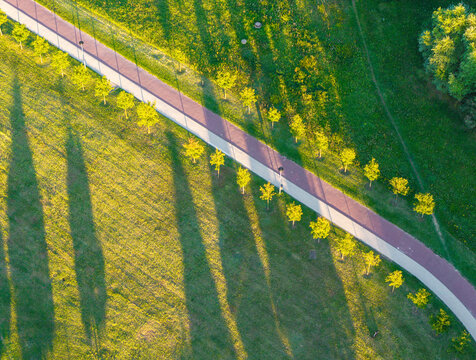 Aerial view of a paved path winding through the Morasko park with long tree shadows cast across the green grass during the golden hour in Poznan, Greater Poland Voivod, Poland.