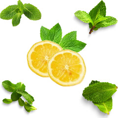 Fresh Lemon Slices and Green Mint Leaves Isolated on White Background PNG Transparent File © Creative