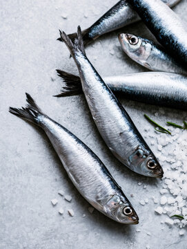 Top view of fresh raw silver sardines with sea salt crystals and rosemary on a light stone background.