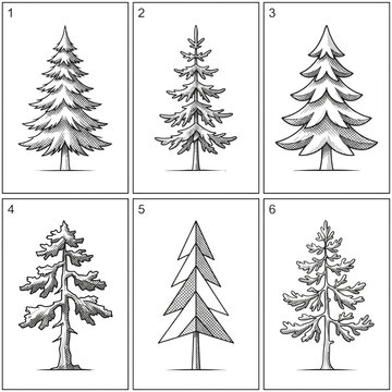 Collection of hand drawn evergreen trees isolated on transparent background